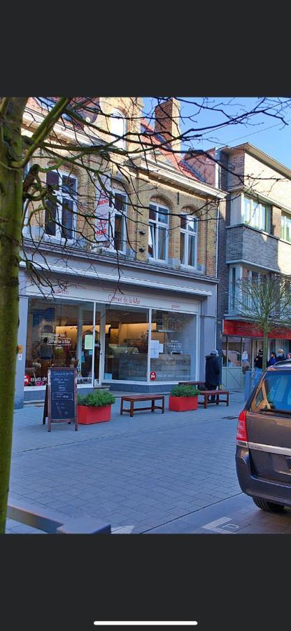 Gastenverblijf De Arend Nieuwpoort Luaran gambar